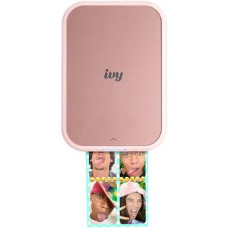 Ivy 2 pink Ivy 2 pink