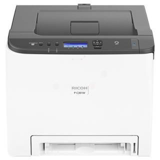 P C 301 W