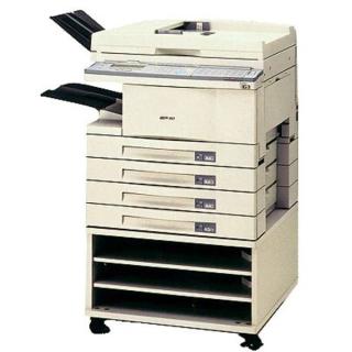 Copia 9916 Copia 9916