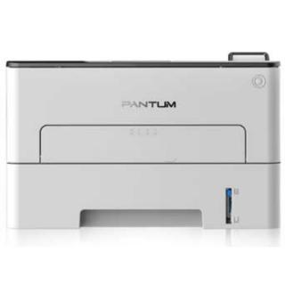 P 3010 DW P 3010 DW