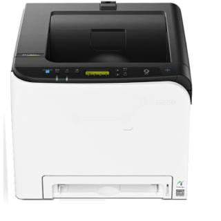 SP C 262 DNw