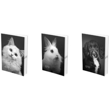 OXFORD Agenda scolaire PRINT ANIMAUX, 2026/2027, assorti x6